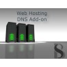 Voller DNS und Hosting Parameter Zugriff